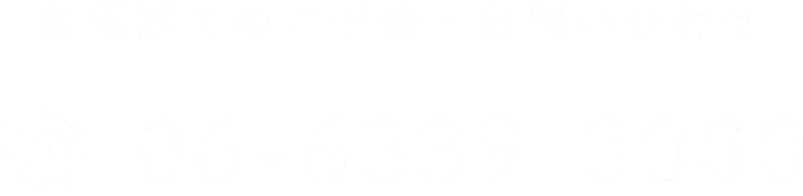 06-6339-3000